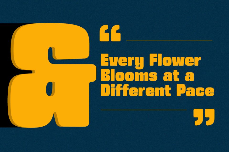 7aaf1de1cb0731320e147ebaa5ab08f7