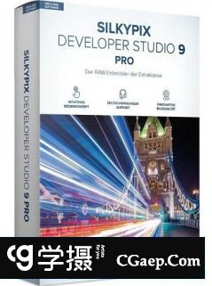SILKYPIX Developer Studio Pro 9.0.15汉化版|RAW数码照片处理软件WinX64