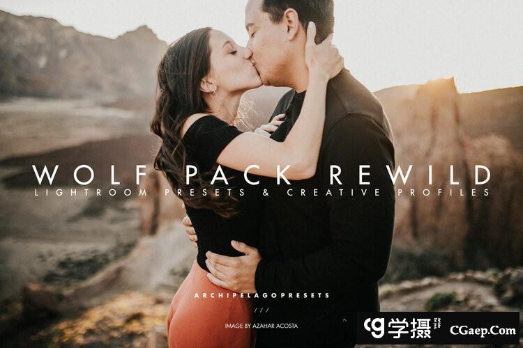 部落群岛‘狼群重生’胶片人像Lightroom预设 Archipelago – Wolf Pack ReWild