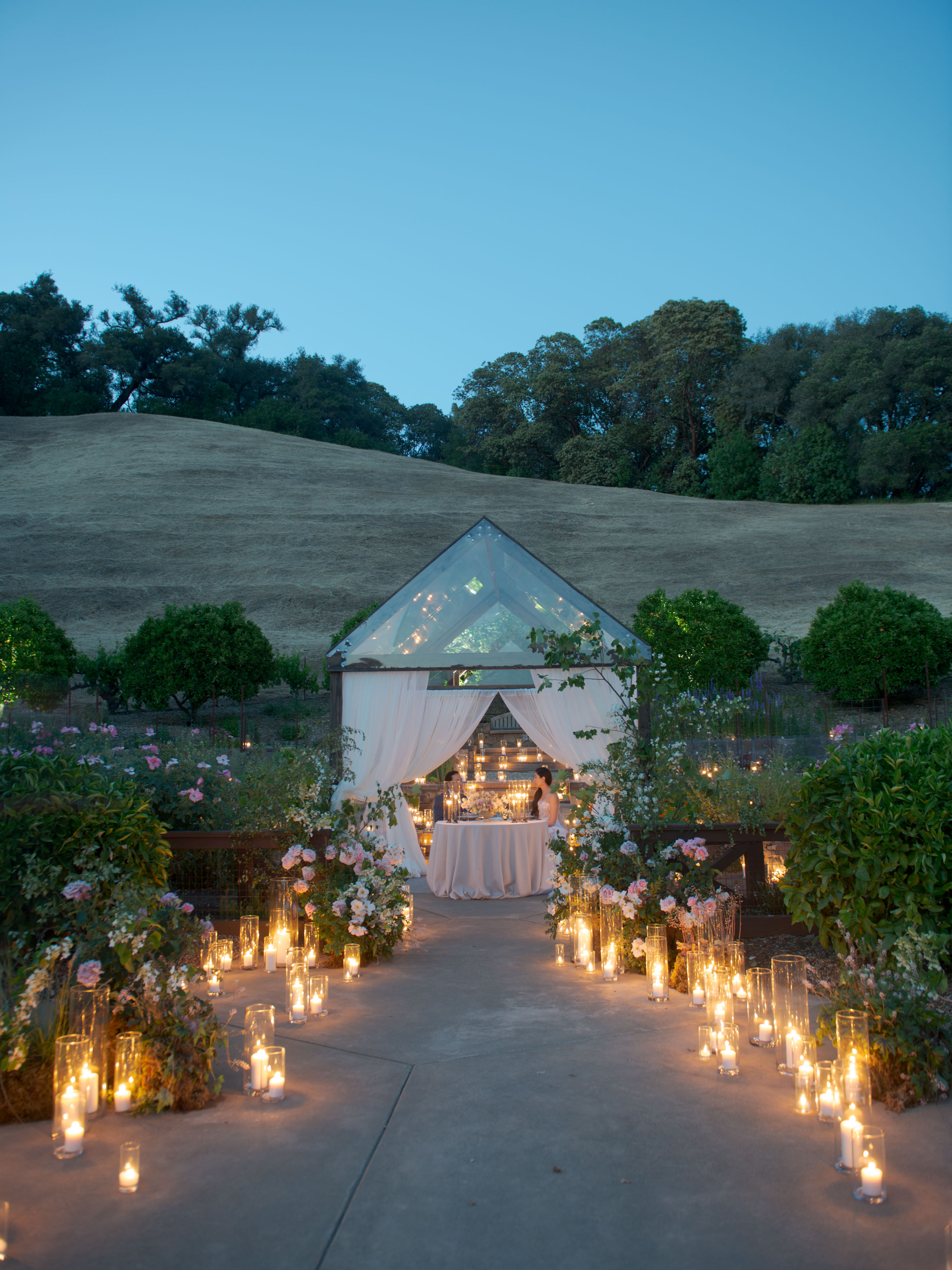 7d3627389526b73af6242cb7a7e344fc