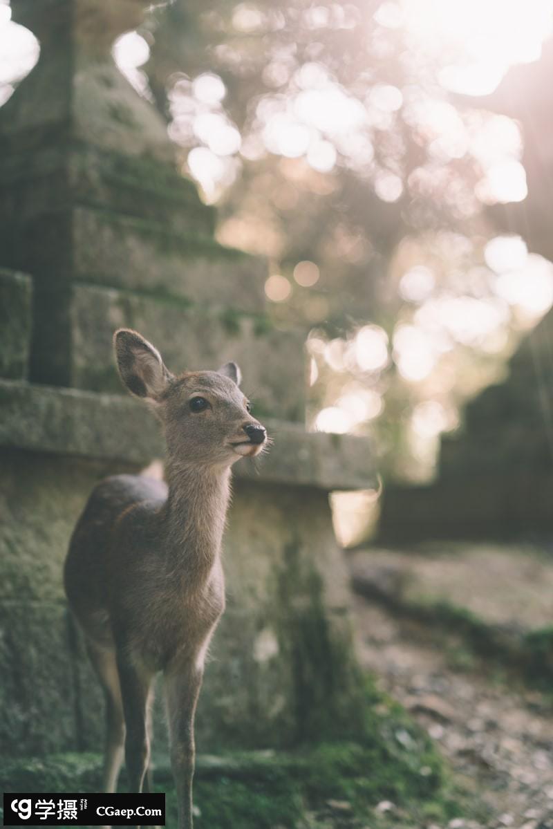 84e6df2bc76bcfb6e206809d9a3e3113