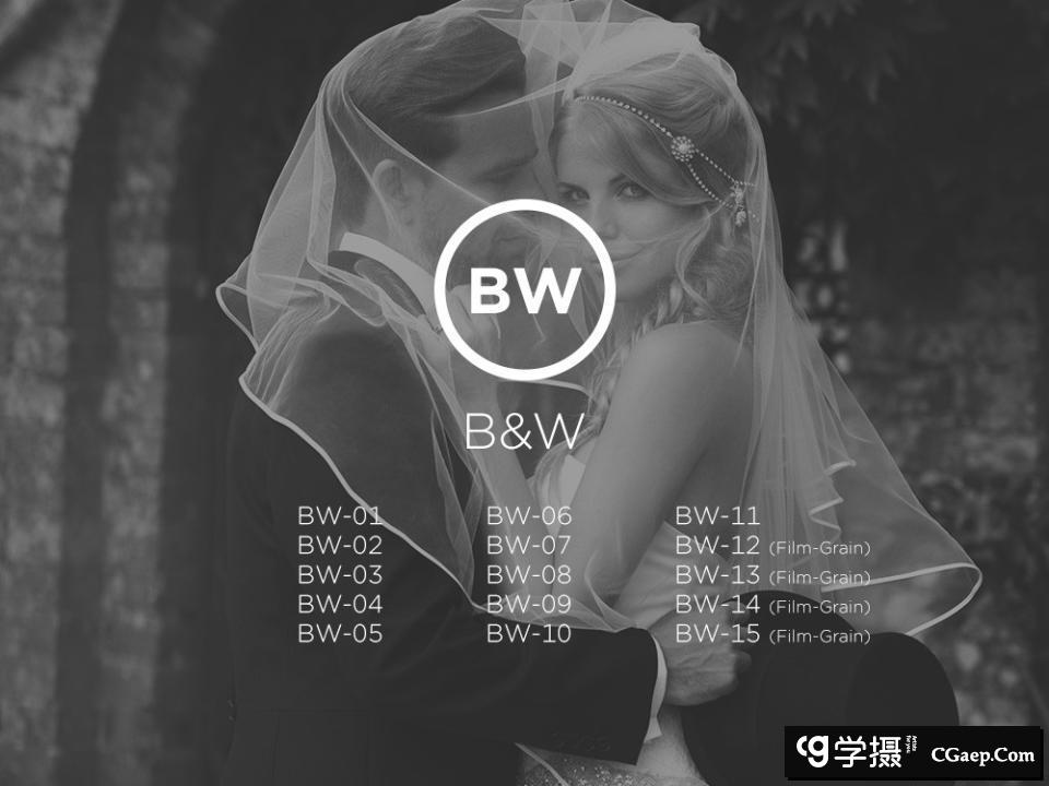 Capture one 11 飞思官方黑白 胶片预设