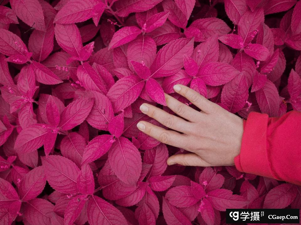 86cec055ad43a6b9bc1f33f11c88f1d3 86cec055ad43a6b9bc1f33f11c88f1d3