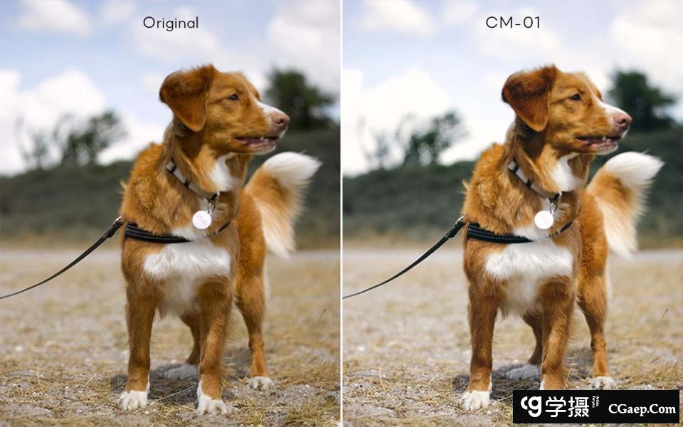 86dbd44e0807fe7fa1092dbe33502b10 86dbd44e0807fe7fa1092dbe33502b10