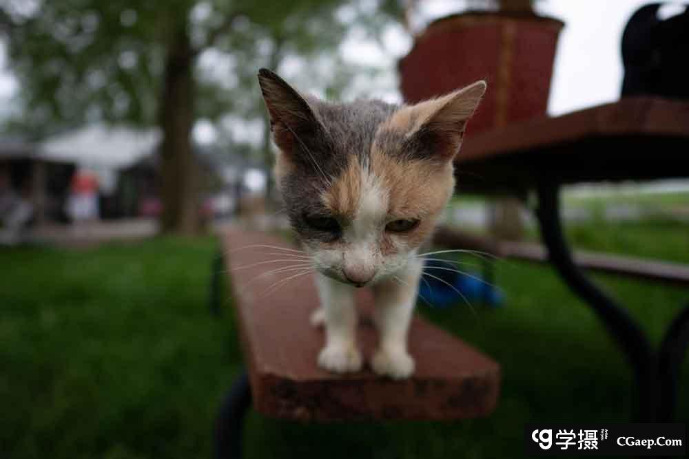 87ed52324f5c1daa111b61970b1a4020