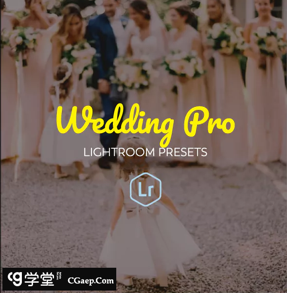 15个高级婚礼Lightroom预设 Premium Wedding Lightroom Presets插图 15个高级婚礼Lightroom预设 Premium Wedding Lightroom Presets