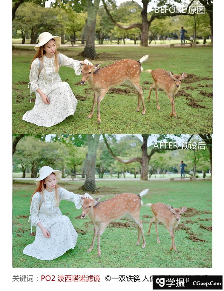 8bae261702caaadf54d71e4a4523ade2