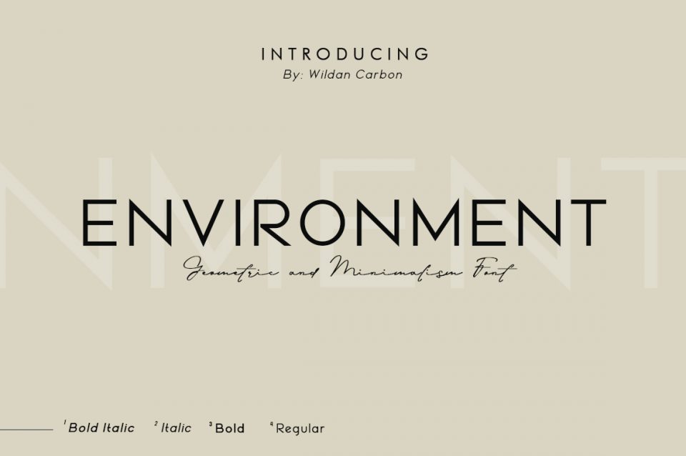 Environment 字体
