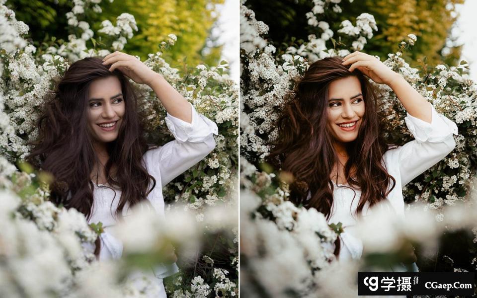 8d0c826b3a7005f556a5c6b0f1445dd3