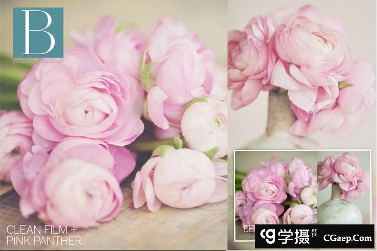 8d874a7755936b41f05433f0bd783e66