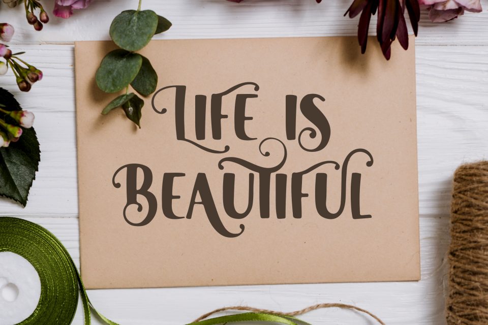 943b1f43f19831d8244e199a3a9ca4c1