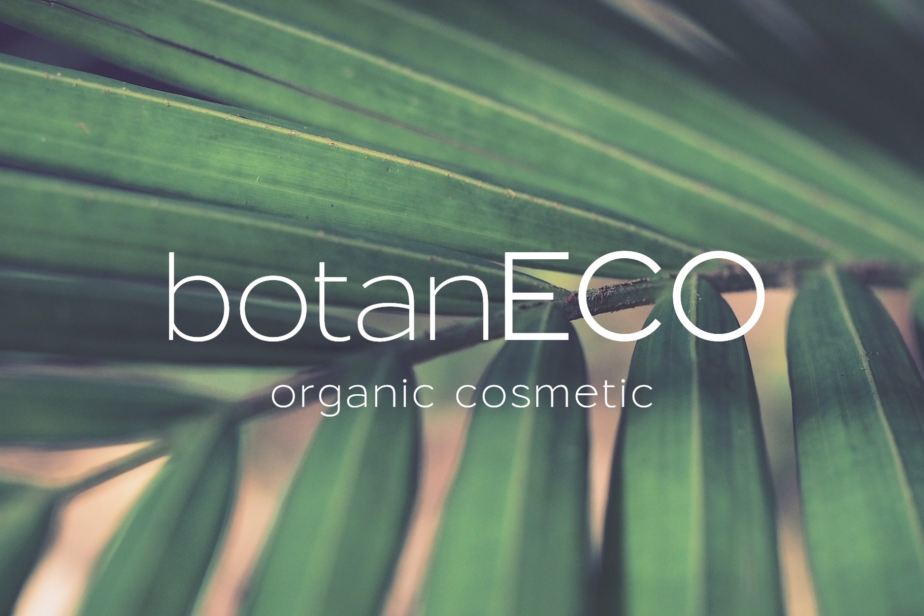 95d8d4500693fe724c5982f3899dac6b