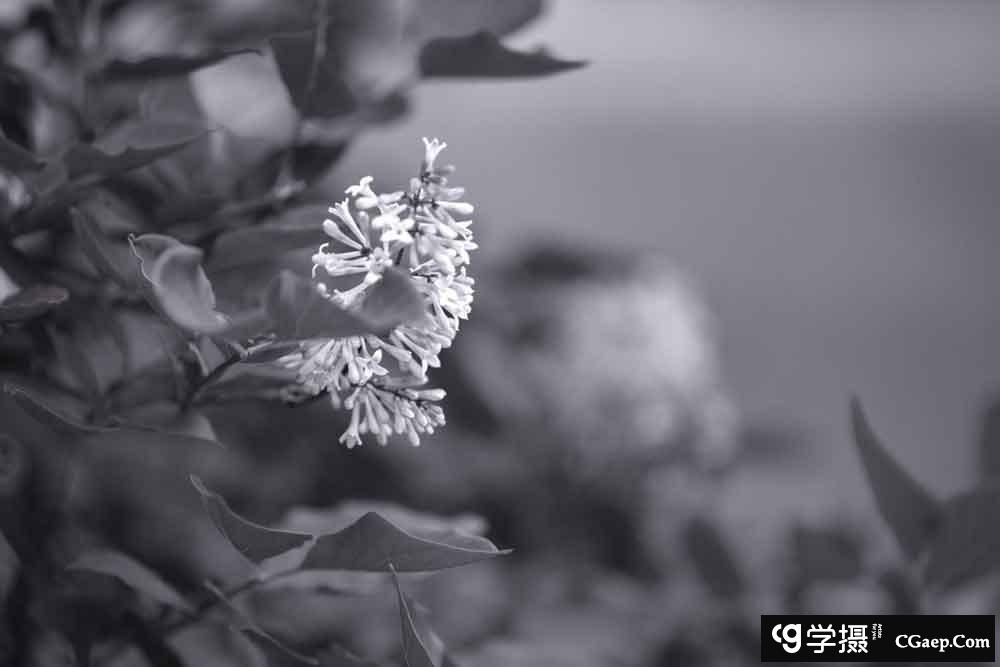 9867206f92d886eb14b1c3ced99475b4