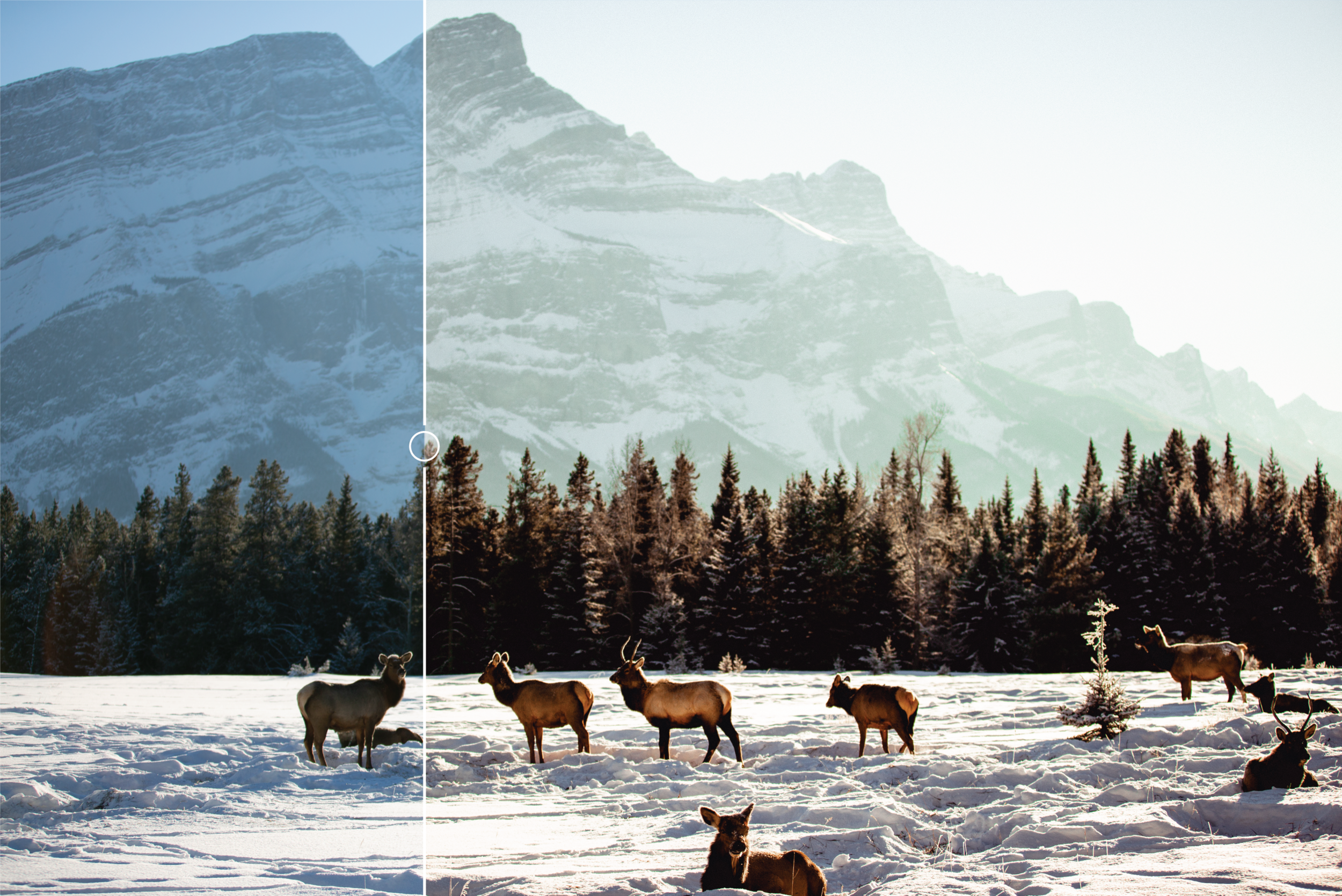 993aa80b2f8dcee84e05f24ccd0f6162