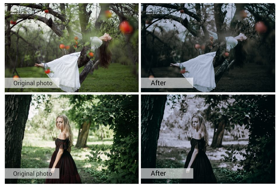 a2b7f6aed4c4a6bf6d3f03a560fdc53f