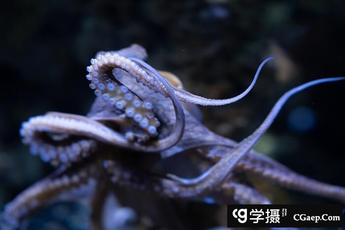 a4de0378de572442a7ca3709be78e42f