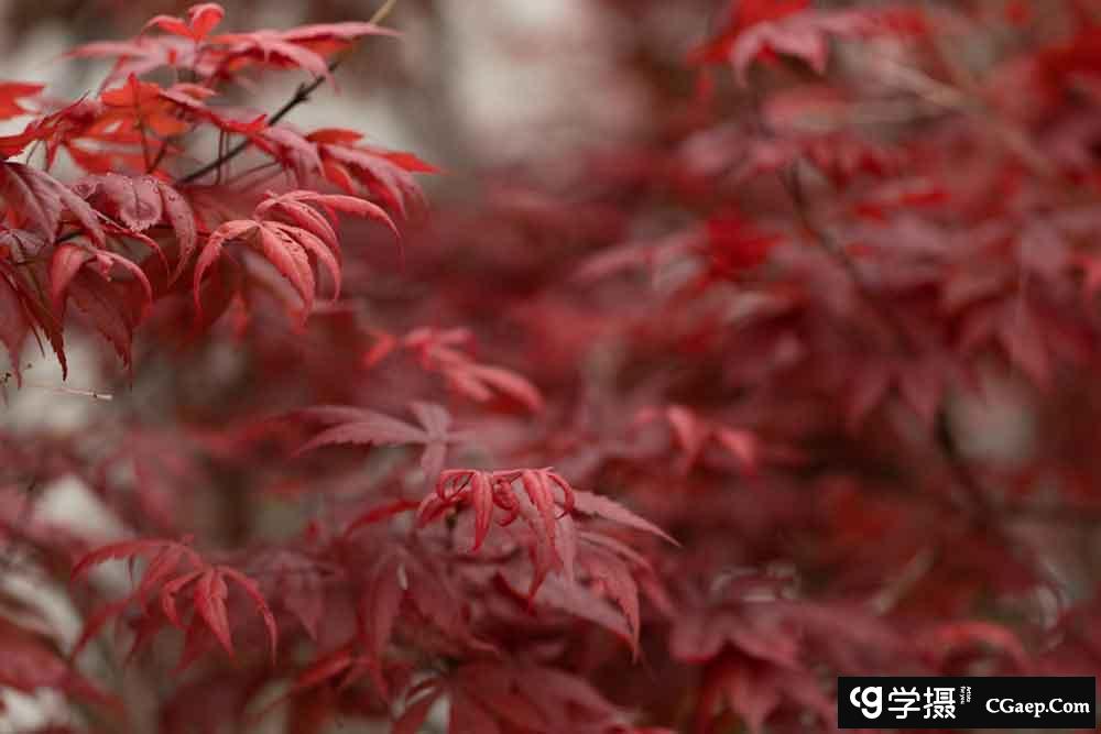 a4fb4ecf0b631c98b61011ada42142d5