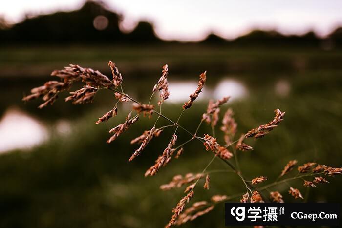 a5cfc2932df681e888deb14fb88b5806