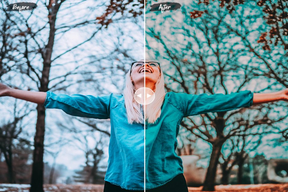 a5fda4a6c1d3665de82a366a660610e6