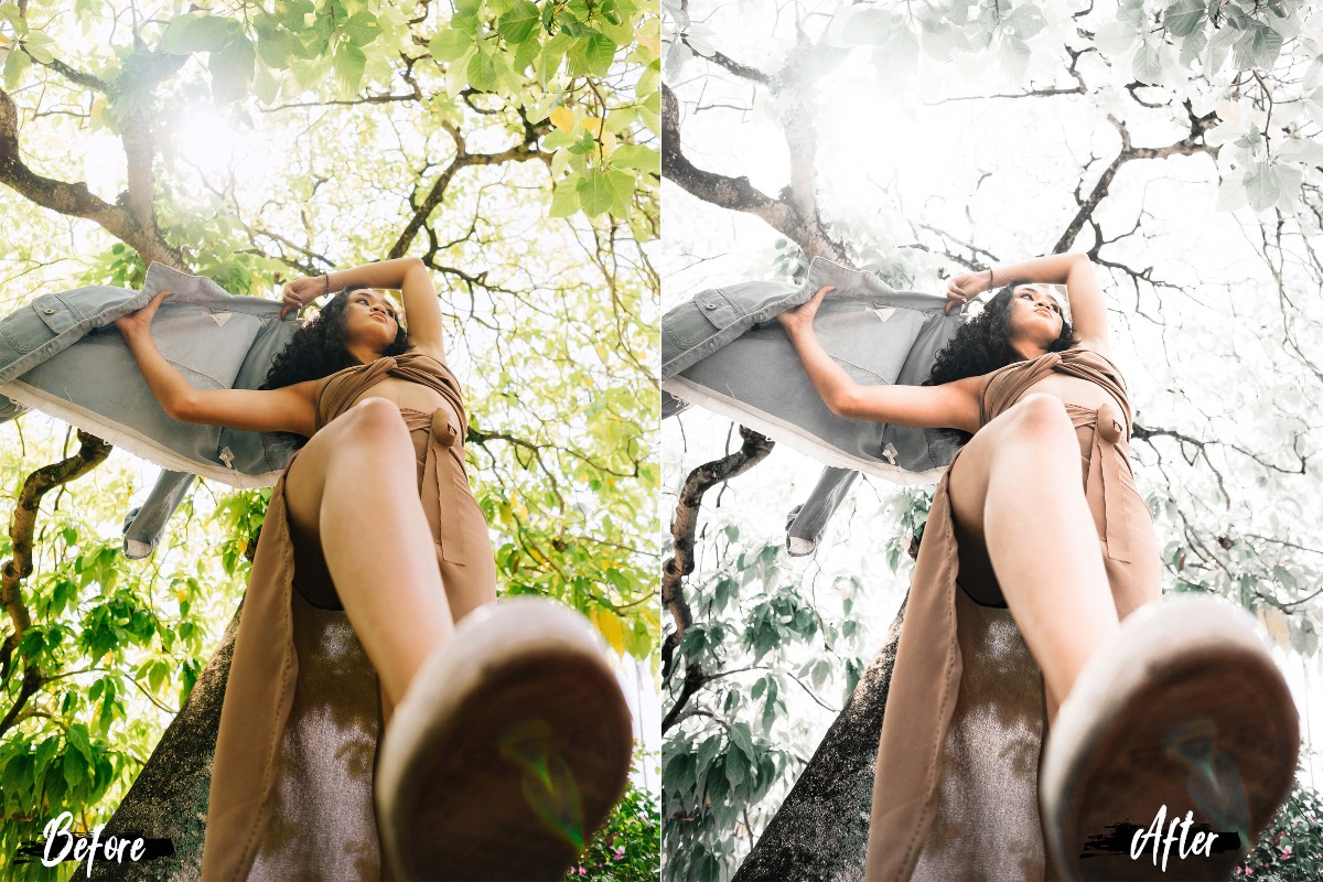 6 个 Photoshop 动作预设卡萨布兰卡 LUT 预设