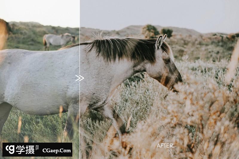 a7bcb7d38a0c83935f6f2a6e909d93fc