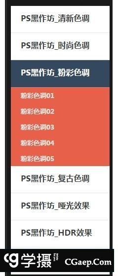 PS黑作坊色调调色扩展插件