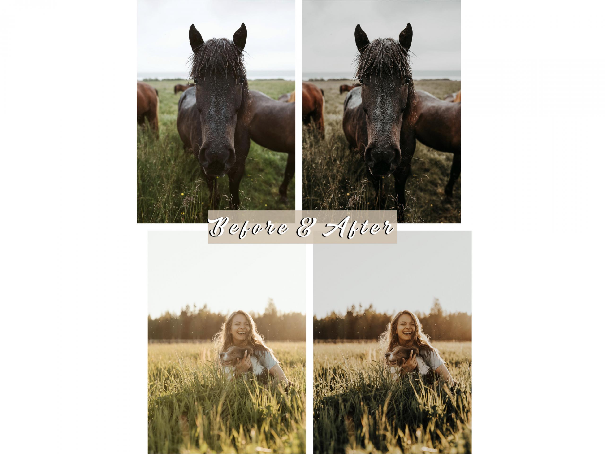 ade518b643233636ac488fb61da40619