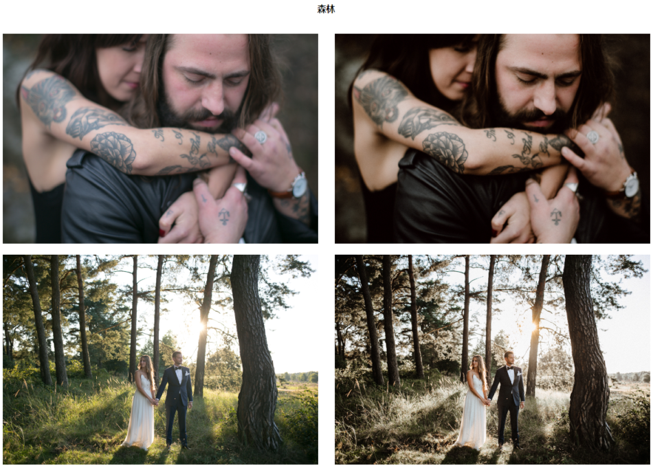 aeb5581ac103ef4cf675c09767576a4a