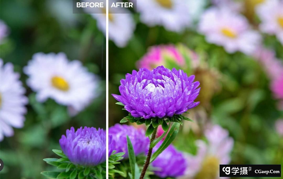 b47b1e56b3fb6c50c5d986c6112fdad8