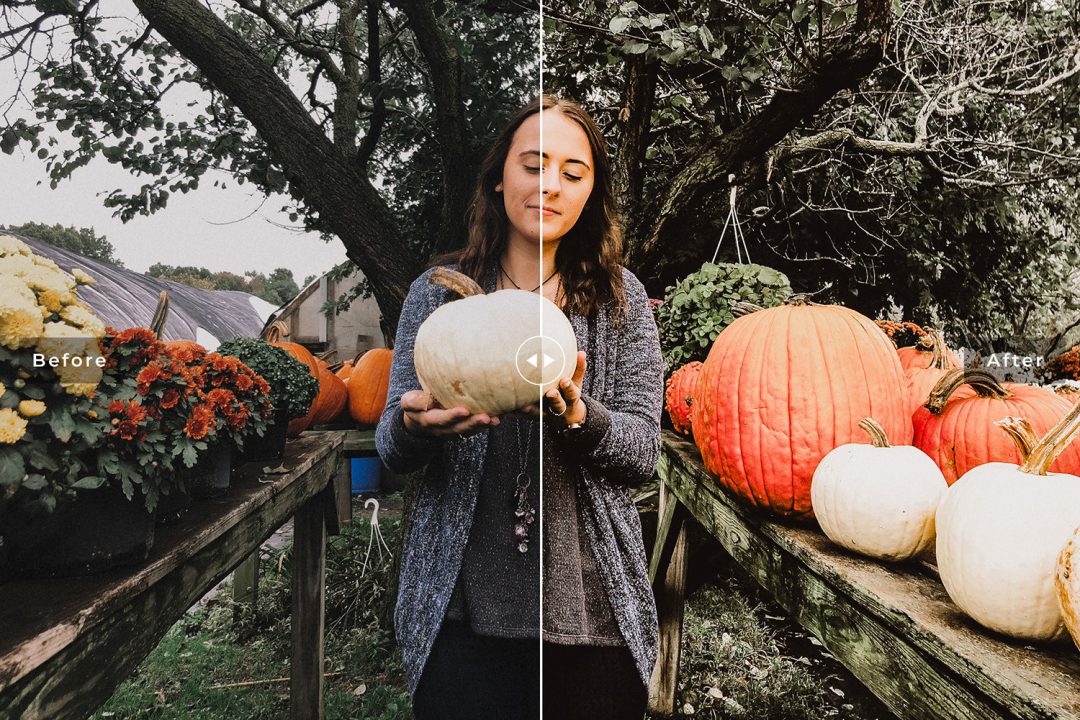 b504ab1c640688db18609c2132e0b0ce