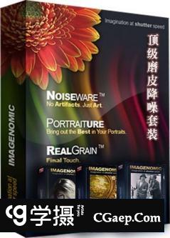 PS磨皮降噪滤镜插件三件套Imagenomic Pro Suite PS1734 汉化直装版