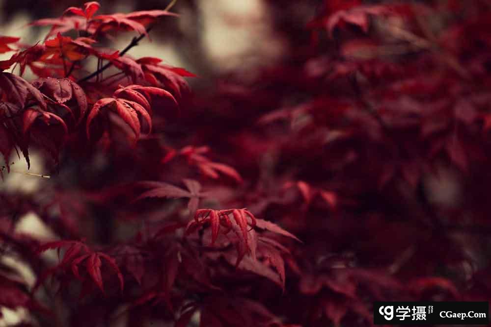 b84724b4e36e7321d5e6a81cac57bd89