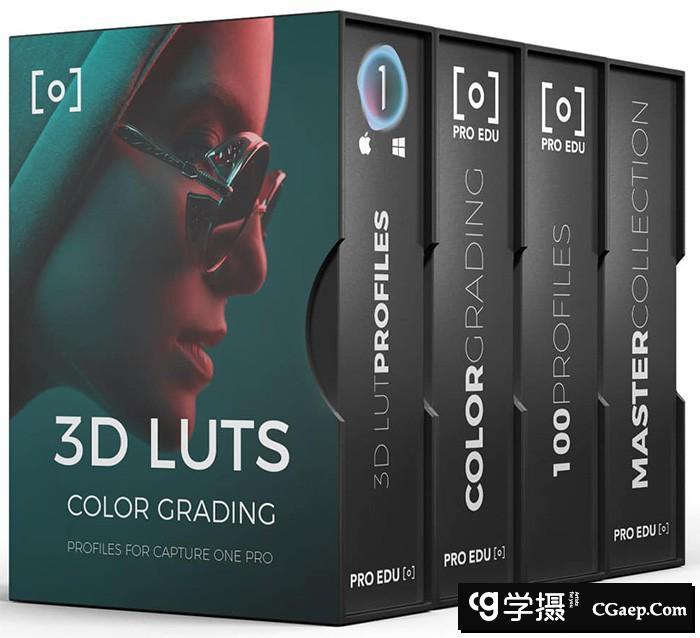PRO EDU-大师收藏-用于Capture One Pro的100个3D LUT配置文件(附教程)
