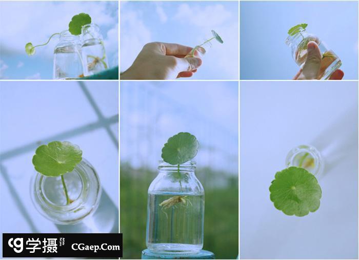 11款日系小清新风格Lightroom预设下载