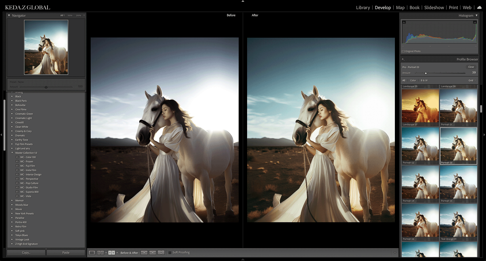 700+ Lightroom 预设 Keda Z – Master Collections Presets 3.0 全套LUT预设插图8