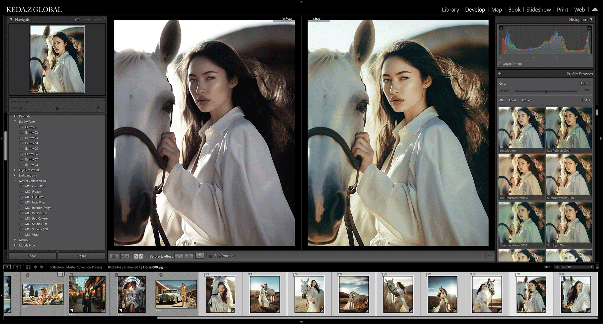 700+ Lightroom 预设 Keda Z – Master Collections Presets 3.0 全套LUT预设插图7
