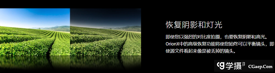 c11071922d7fa8f2c0efbd1b95379848