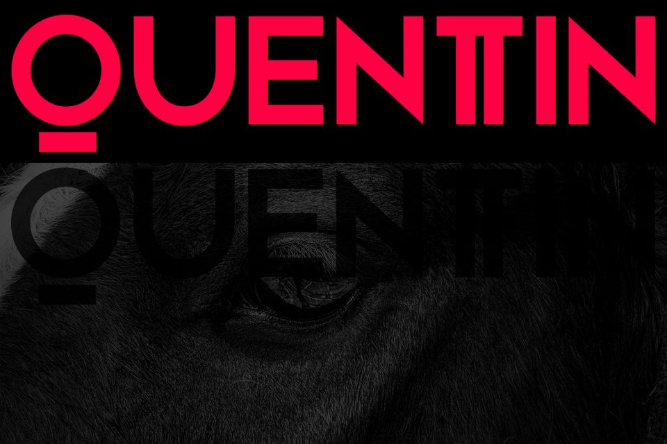 c26250bd3a8b0565852ae75f84ae1c4e