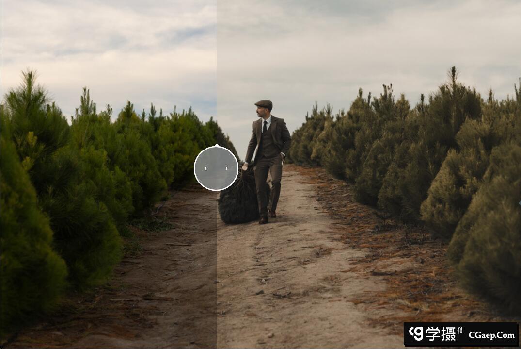 c816cd68ab08b59f16592f3e725a8f4c