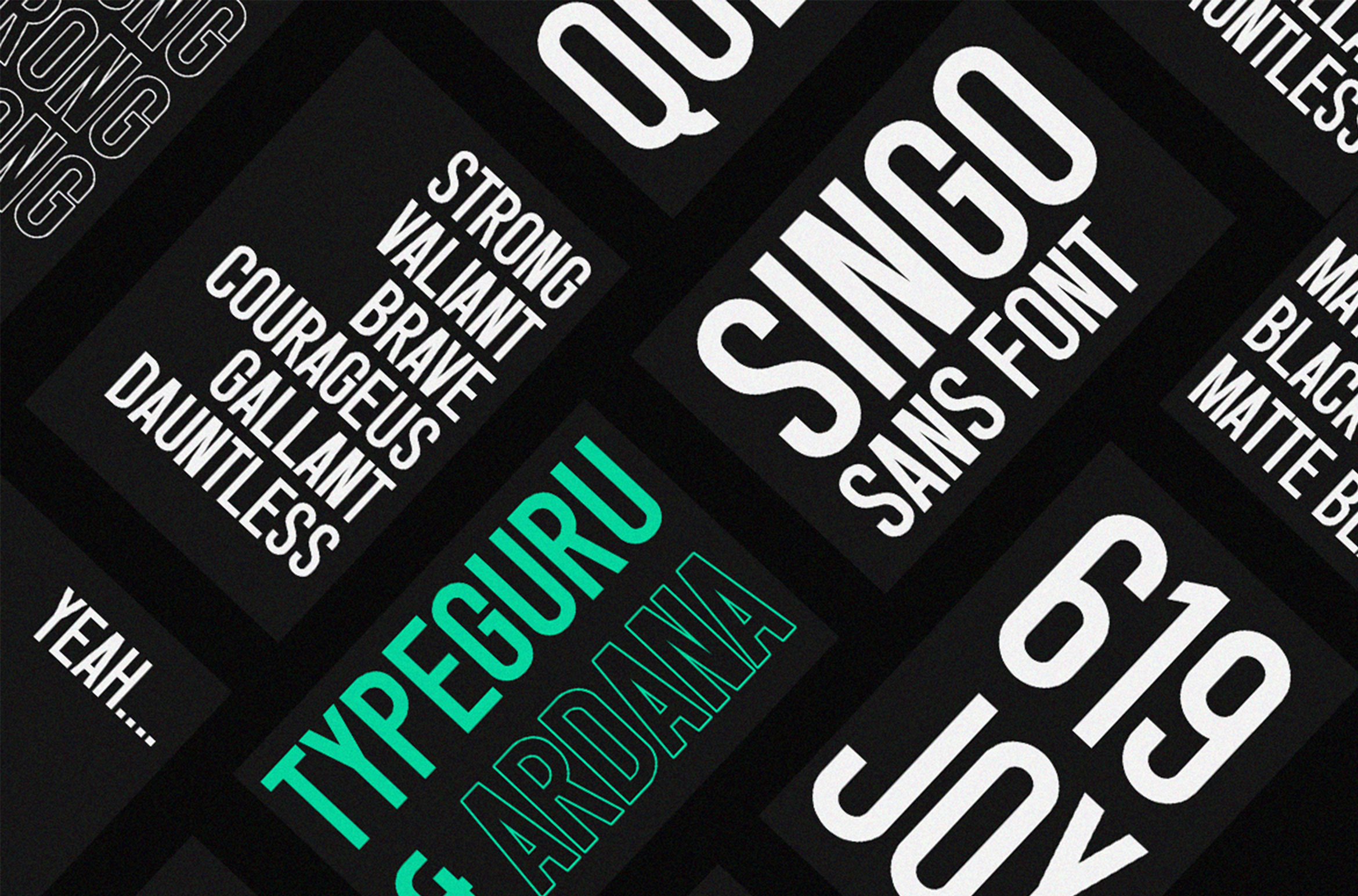 Singo 字体 无衬线字体 黑色字体 品牌字体 画笔字体 日历字体 书法字体