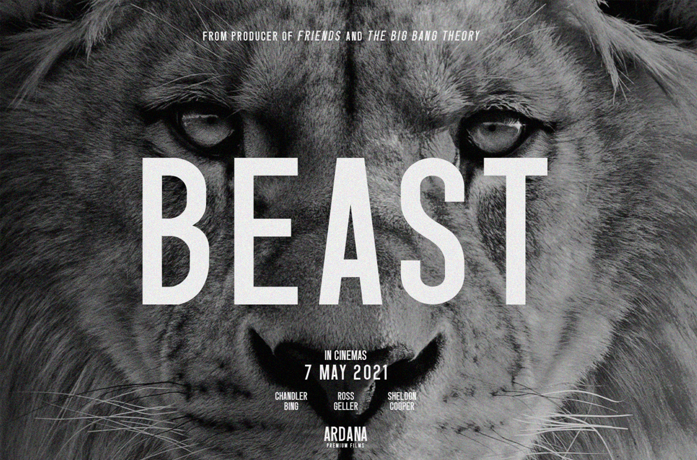 Singo 字体 无衬线字体 黑色字体 品牌字体 画笔字体 日历字体 书法字体