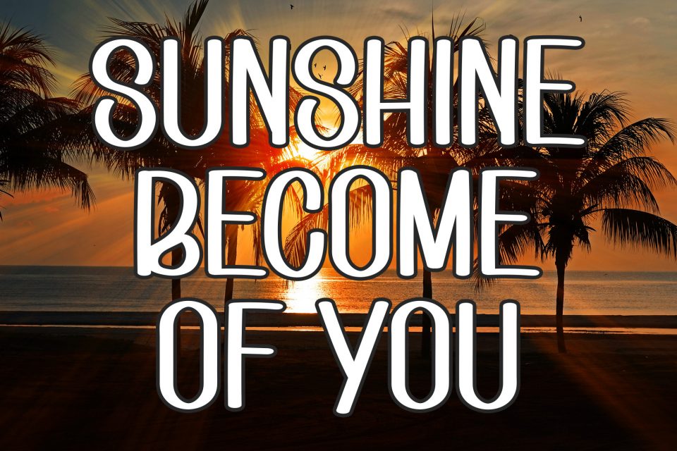 cab167de6a6a361052ced89655259628