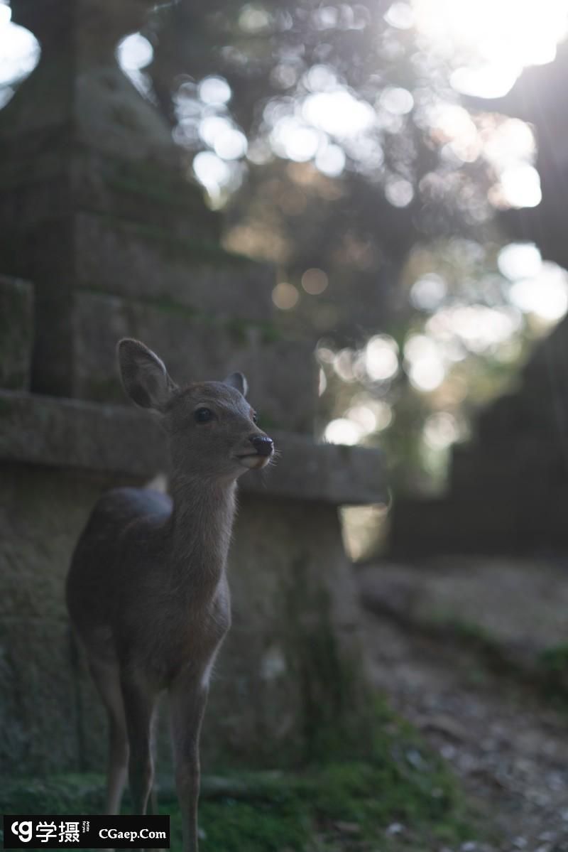 cb7e3031c4e24e4ba151ed8bebfdf889