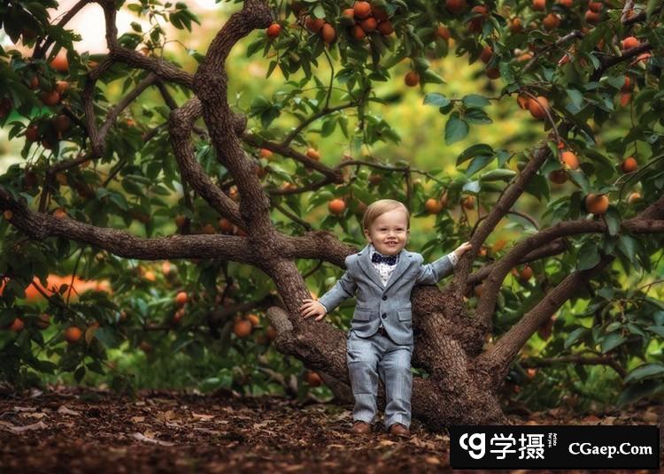 ce7ae8a471203d49d2f5083f5412c525