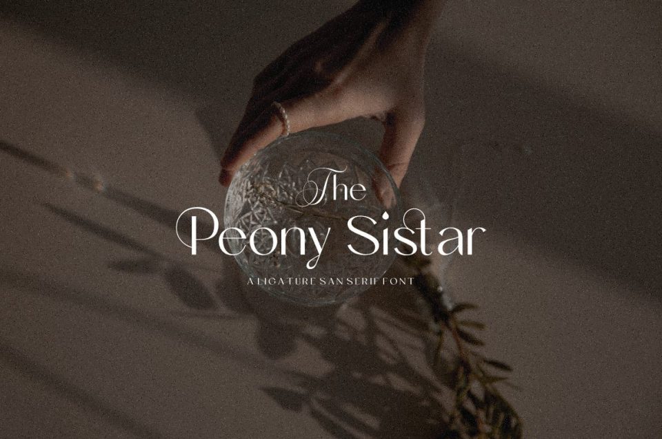 cedf41f888c148a109de93994bee93ca