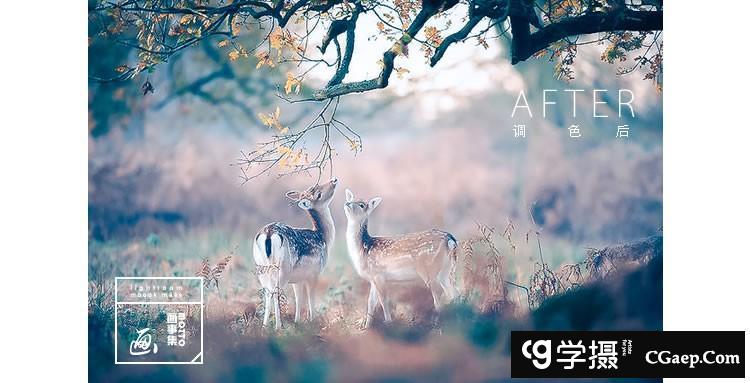 d017d2d46d7fc6508965a18543547dfa