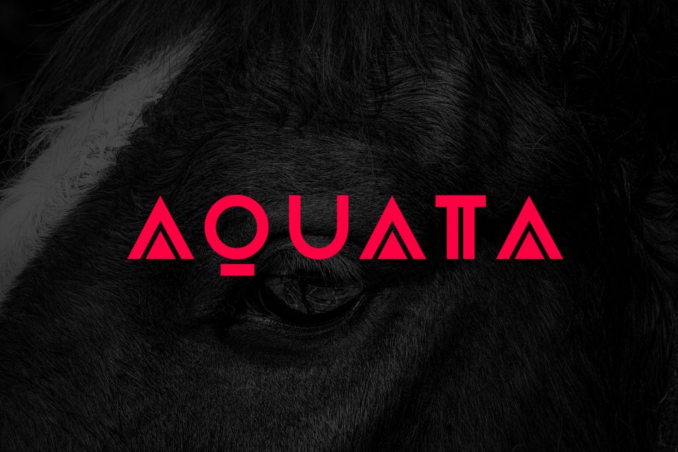 Aquata 字体