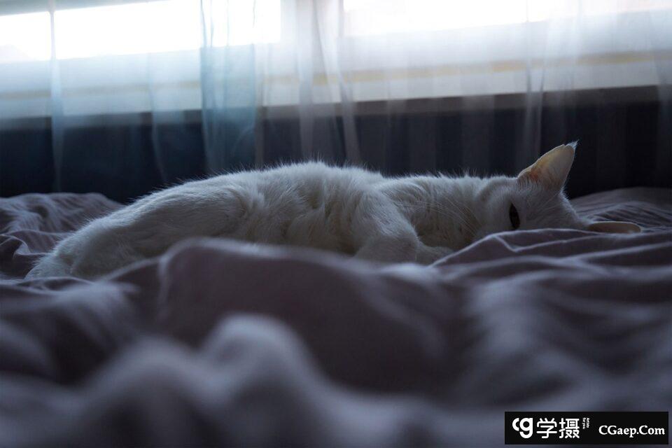 d8166541ae176e638bf9ba33f663ef0e