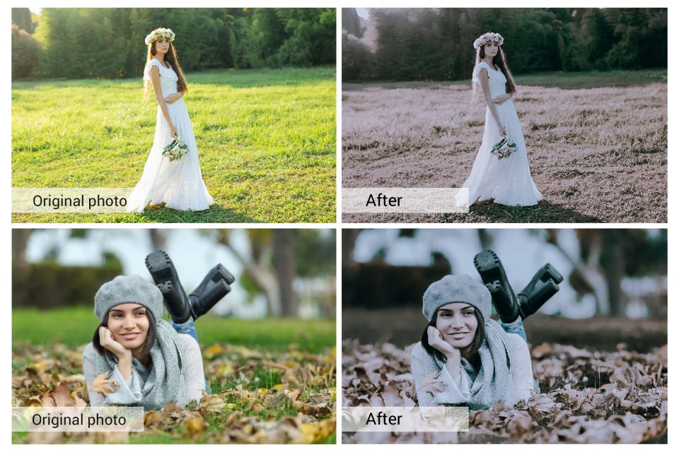 d8f36215c244093ece04696b2fb81bd5