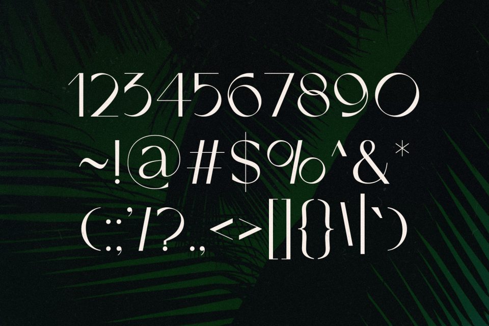 d9eca6d50d75acc87caf83bc583136d4